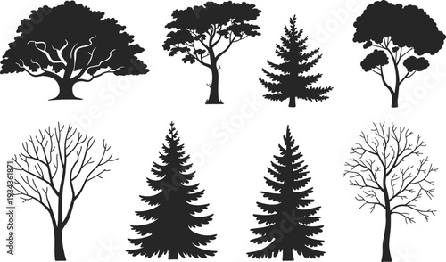 Black and white tree silhouettes collection featuring diverse deciduous oak pine spruce and leafless winter trees isolated on white background for nature vector design