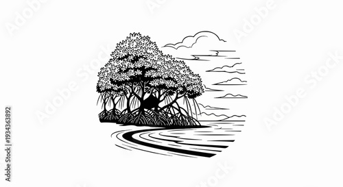 Ink illustration of mangrove trees with visible roots by the water under clouds