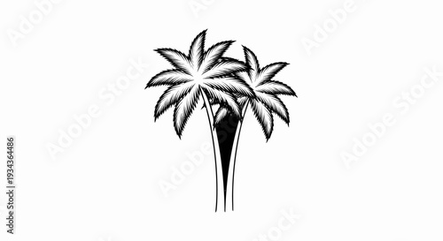 Stylized black and white drawing of two palm trees with fronds spreading outwards