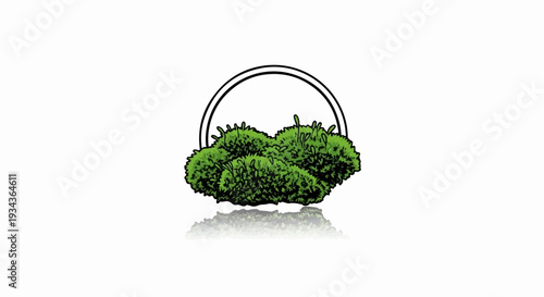 Stylized green foliage under a double ring emblem with reflection