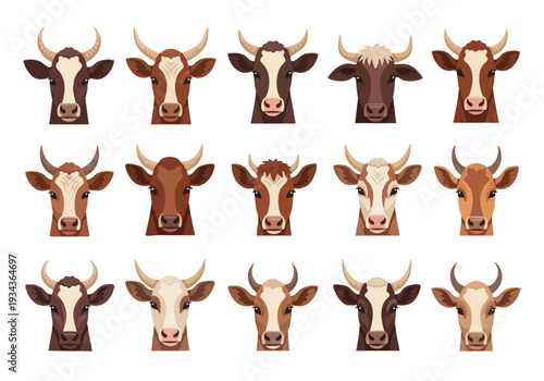 Diverse collection of cow heads in a variety of colors and breeds, showcasing different facial features and horns, ideal for agricultural or livestock-themed designs