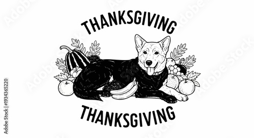 A happy dog lies among bountiful harvest fruits and a squash