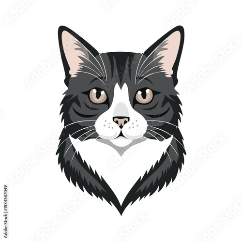 A cute cartoon illustration of a domestic black and white kitten isolated on white background featuring a feline pet with a heart for a fun Valentine art drawing