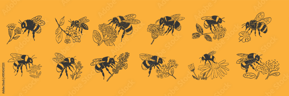 Fototapeta premium bees on spring and summer flowers in doodle style, detailed botanical pollinator illustrations on warm yellow background