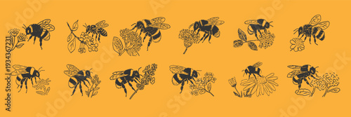 bees on spring and summer flowers in doodle style, detailed botanical pollinator illustrations on warm yellow background