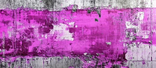 Vibrant Magenta Paint Peeling on Grungy Concrete Wall Texture