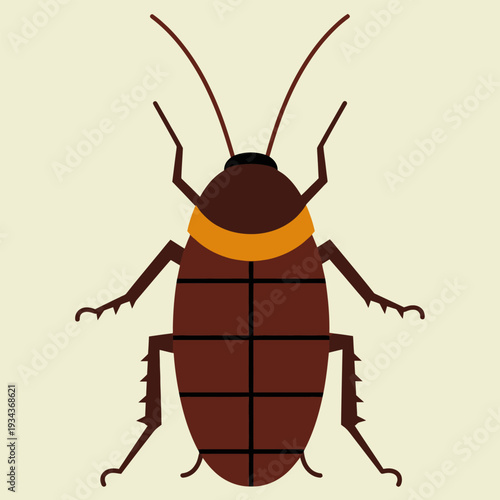 Wingless Brown Cockroach Nymph Top View Vector Illustration