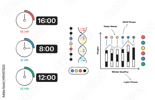 Infographic showing sleep duration DNA structure and sleep stages with REM and light phases represented by graphs and colored