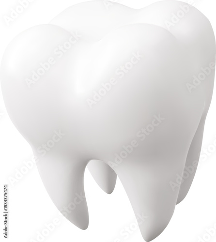 Tooth Molar