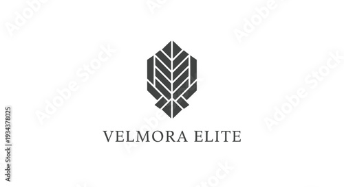 Abstract Geometric Leaf Logo with Text "VELMORA ELITE" on White Background