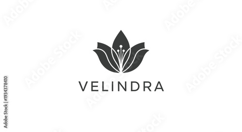 Elegant floral logo with brand name VELINDRA on white background