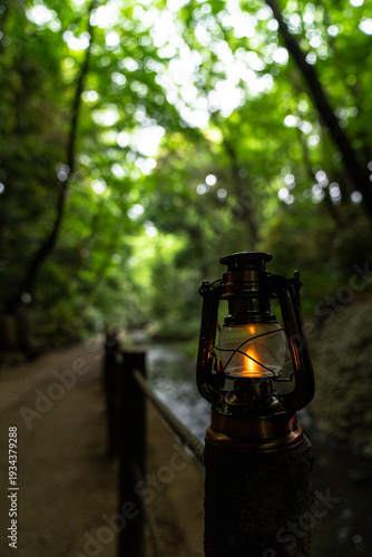 森の中を流れる川とアンティークランタ