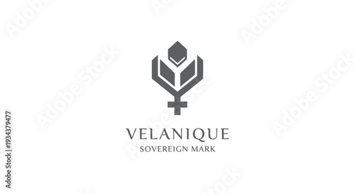 Modern geometric logo with text VELANIQUE SOVEREIGN MARK on white background.
