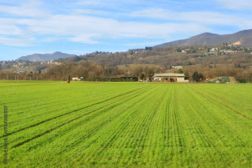 Obraz premium Green Agricultural Field with Mountain Landscape and Blue Sky Background