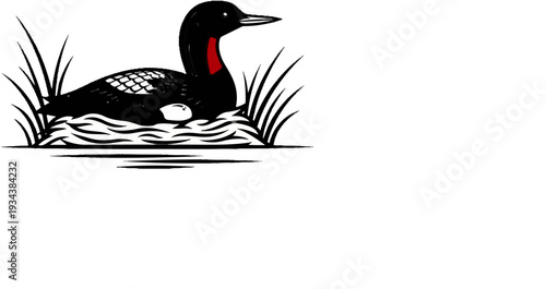 A black bird with a red patch sits on a nest in the water with reeds