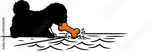 Black fluffy dog with orange bone splashing in water