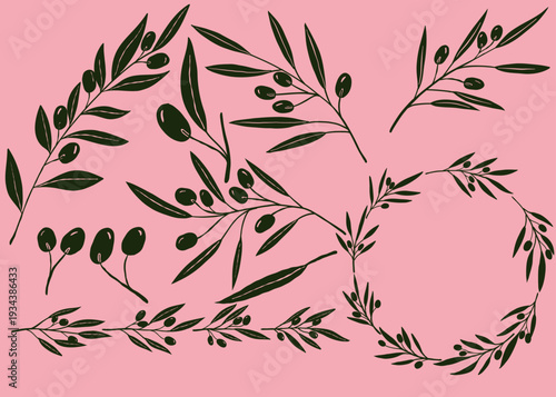 Olive branch doodle hand-drawn isolated illustration set