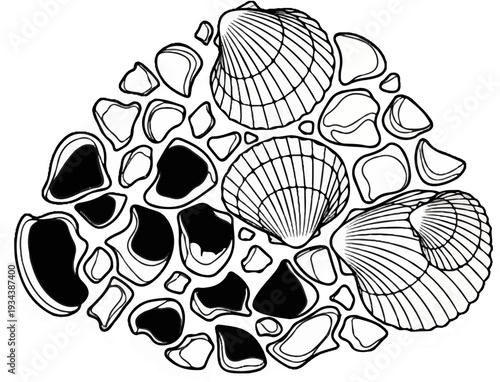 Scattered seashells and smooth pebbles arranged in a triangular composition