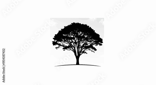 Silhouette of a large, mature tree with a full canopy against a light background