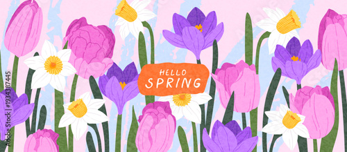 Hand drawn horizontal background of spring flowers. Botanical illustration with narcissus, tulip, crocus, texture. Modern design for Mother's Day, Easter, Women's Day, holiday invitation, banner