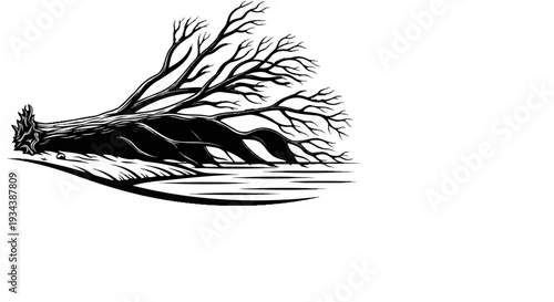 Stylized fallen tree with exposed roots on a reflective surface