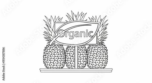 Three ripe pineapples with spiky tops, a leaf shape sign proclaiming "Organic.