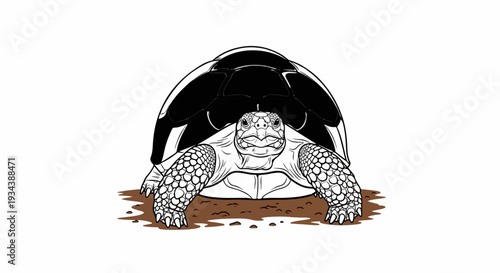 Line art illustration of a tortoise with a patterned shell on brown ground