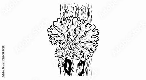 Detailed illustration of lichen growing on tree bark