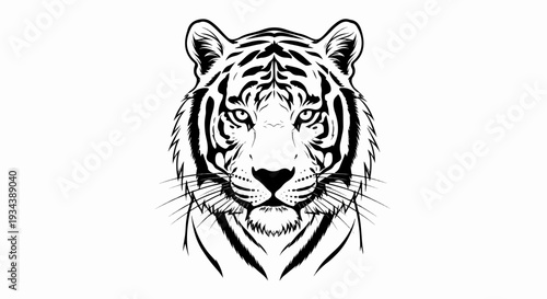 Striking black and white illustration of a tiger's intense face
