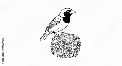 Bird perched on a woven nest