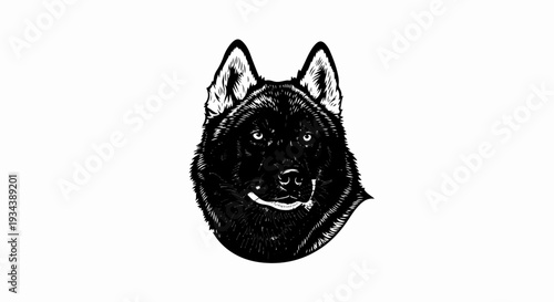 Stylized black and white sketch of a fierce wolf's head