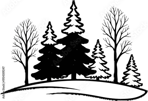 A winter scene with snow-covered ground and various evergreen and bare trees