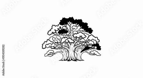 Stylized illustration of a large, multi-trunked tree with dense foliage