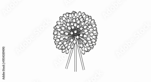Stylized spherical flower head composed of numerous individual tulip-like buds on thin stems