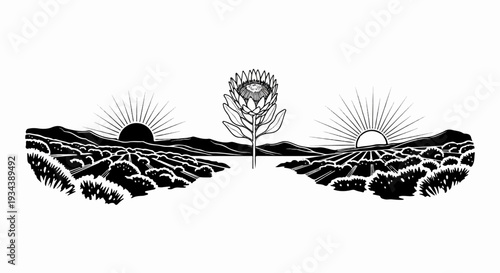 Sunrise over a fertile landscape with a striking king protea at center