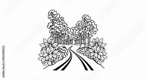 Winding road through a dense forest with lush foliage on sides