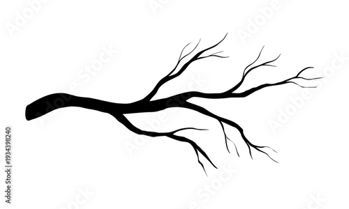 Branch silhouette vector illustration on isolated background. Drawing of wood twig element for tundra forest scenes painted by black inks. Plant for wildlife compositions, icon and graphic design.