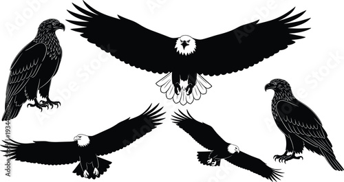 Bald Eagle Silhouette Set Featuring Majestic Birds of Prey in Flying Soaring and Perched Poses with Detailed Feathers Isolated on White Background for Wildlife Design