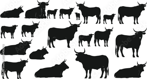 Black cattle silhouette set, cow and calf poses, farm animal vector illustration, livestock design elements, rural agriculture, cartoon style, graphic template