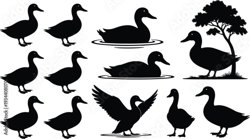Black duck silhouette collection featuring mallard waterfowl in various poses like swimming flying and standing under tree isolated vector icons for nature design projects