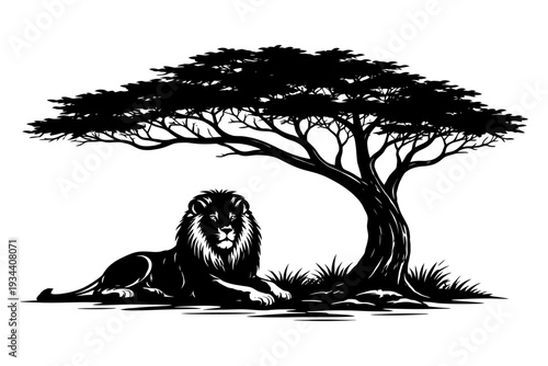 Lion resting under acacia tree silhouette art.