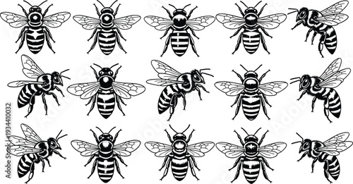 Large set of black and white honey bee illustrations featuring various flying and sitting poses for nature, honey production, and garden concepts, flat vector