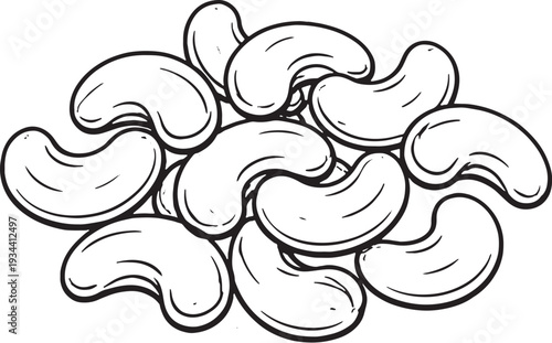 Raw Cashew Nuts Line Art Black and White Agricultural Commodity Vector