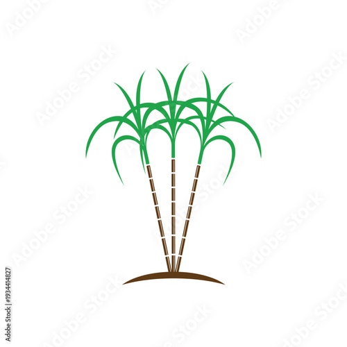Sugarcane logo and symbol vector image