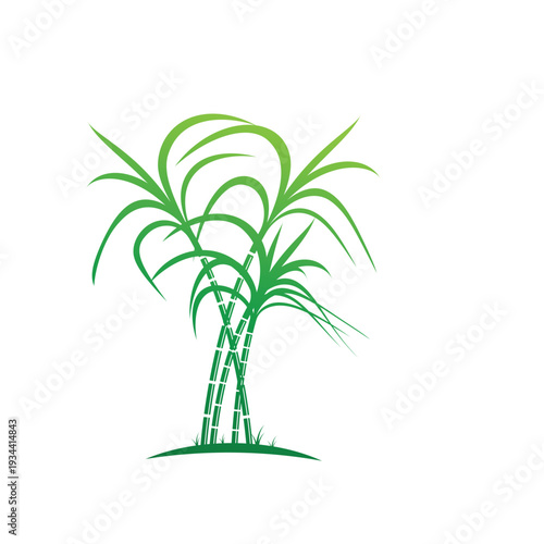 Sugarcane logo and symbol vector image