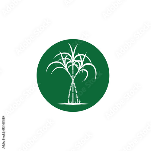 Sugarcane logo and symbol vector image