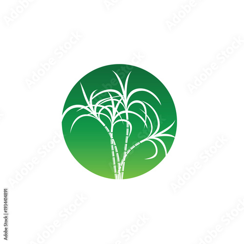 Sugarcane logo and symbol vector image