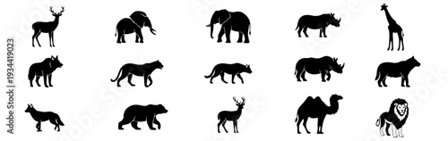 Set of diverse wildlife animal silhouettes for design use