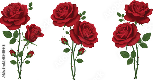 Minimalist red rose flower line art vector set featuring elegant hand drawn floral stems for wedding invitations romantic greeting cards and clean botanical branding