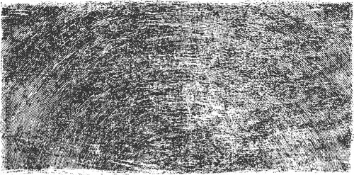 Abstract black and white concentric circular textured background with fine lines and speckles